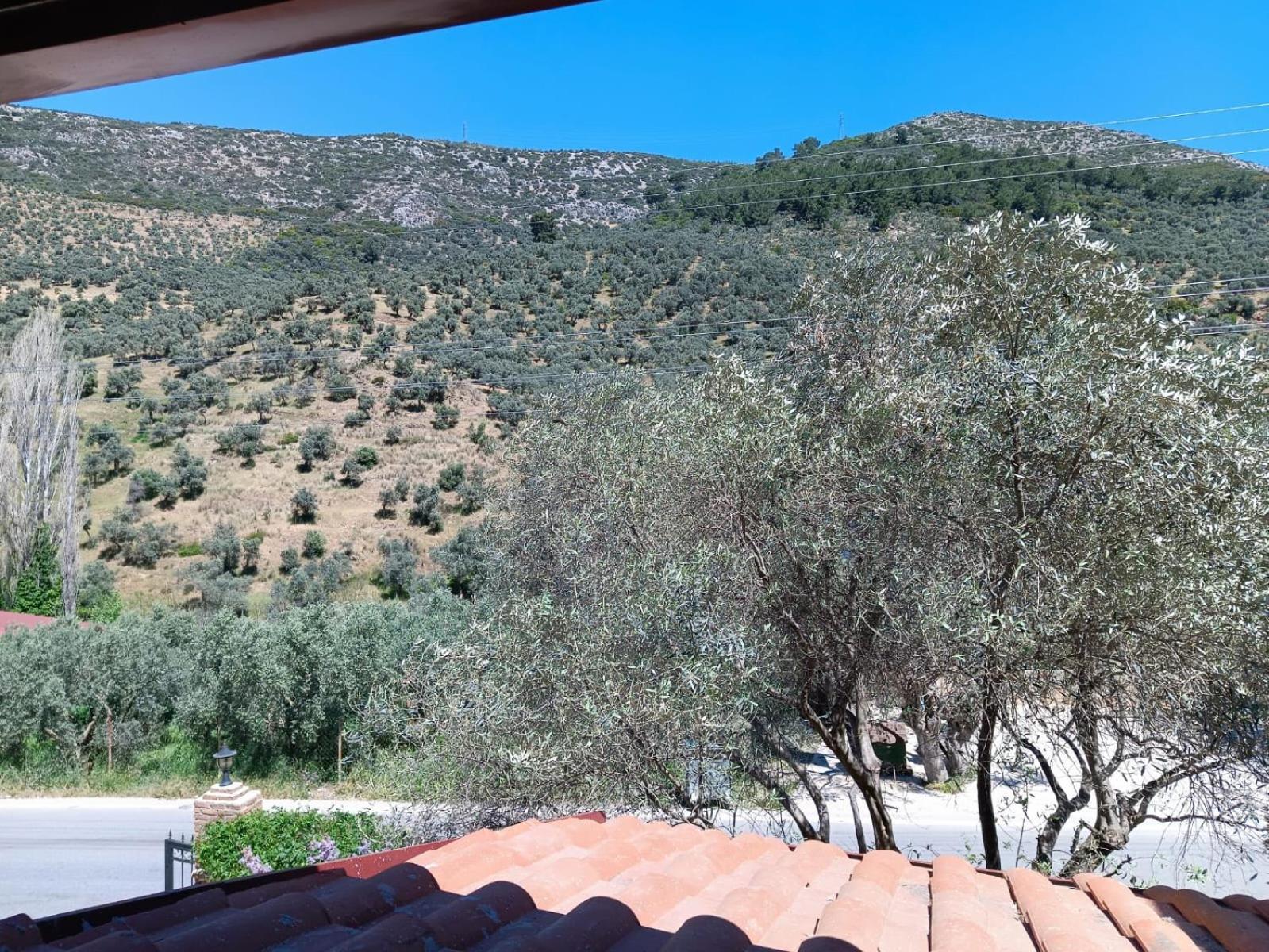 Sirince Klaseas Hotel&Restaurant Selçuk Bagian luar foto