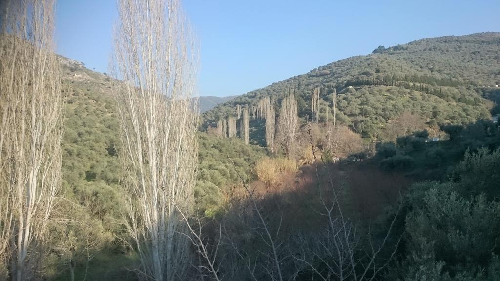 Sirince Klaseas Hotel&Restaurant Selçuk Bagian luar foto