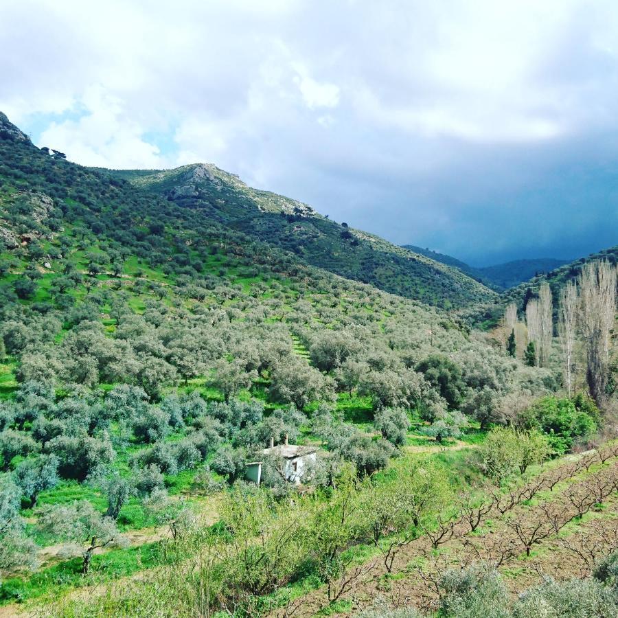 Sirince Klaseas Hotel&Restaurant Selçuk Bagian luar foto